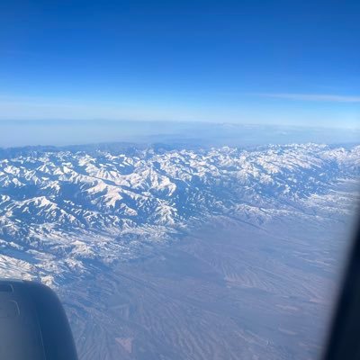 wangyan16652996's profile picture.