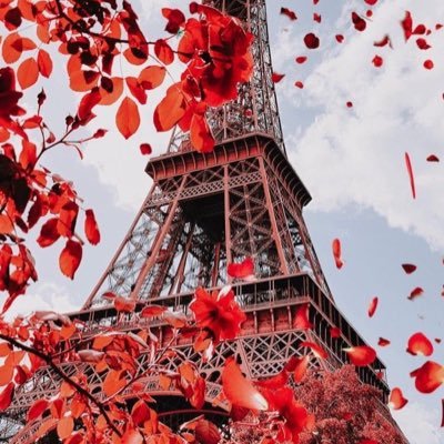 HarshPu13844205's profile picture. 