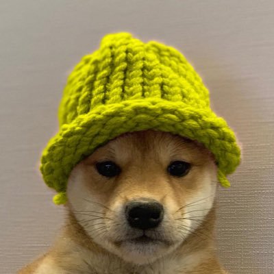 The only dogwifhat vibe you ever need on Blast. https://t.co/YAd6ZxA15d