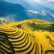 tinhtruong079's profile picture. Giveaway Host | DM For Promotion & Ads #Crypto | Social Media Crypto Influencer | Legitimacy #Zhilynh #DYOR #BNB