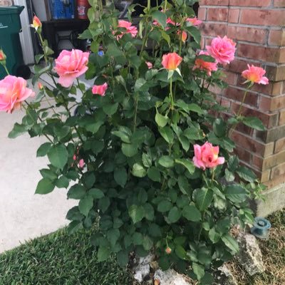 Christi1339170's profile picture. 