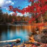 emel_bakar's profile picture. 