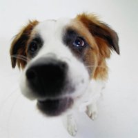 meli (@merk2libre) 's Twitter Profile Photo meli (@merk2libre) 's Twitter Profile Photo