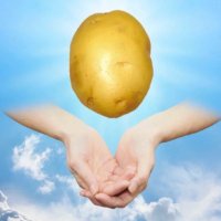 ๊ฐ์์๐ฅ (@lovepotato_o) 's Twitter Profile Photo ๊ฐ์์๐ฅ (@lovepotato_o) 's Twitter Profile Photo