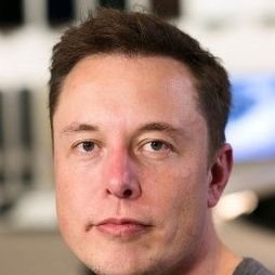 I'm a businessman and investor, founder, chairman, CEO of SpaceX, angel investor, Tesla, Inc.; owner