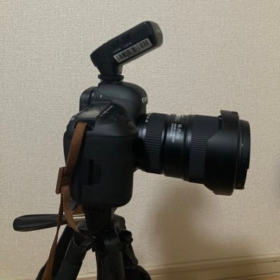2022年12月からカメラを始めました。
♂1987年産まれ
📸 機材→CanonR5・CanonR・SONYα7V・NikonZ9
基本何でも撮ります。
専属で撮っているレイヤー様（@p_q210）
が居ますので、撮影日程は要相談になります。