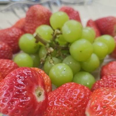 AEJywAmnpSywM5x's profile picture. 