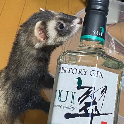 よねざわさかなさんのプロフィール画像