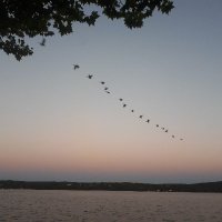 Eukalyptea (@eukalyptea) 's Twitter Profile Photo