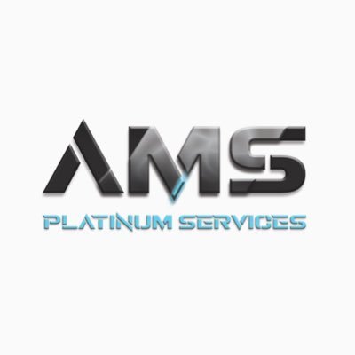 AMS Platinum Services Limited