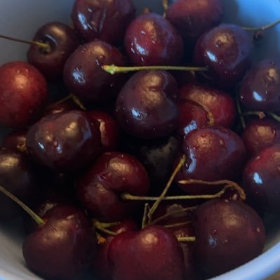 dreamprot26970's profile picture. 