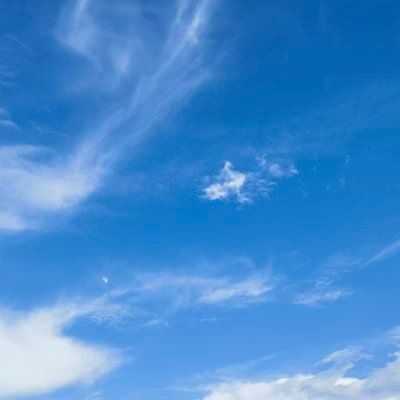 jairus_zhao's profile picture. 