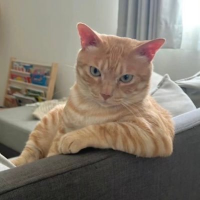 Barista_Li's profile picture. 