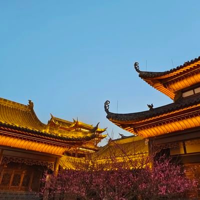 emememerica's profile picture. 技術和科學,EE，find a true desire to practice