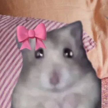 ♡さんのプロフィール画像