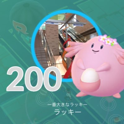 現在はポケモンGO中心(休日にやってます) プレイ歴DPt以降の本編全て〜SV お気に入り:クエスパトラ/ドラパルト/エリキテル/ココドラ　#おひろめ最下位部