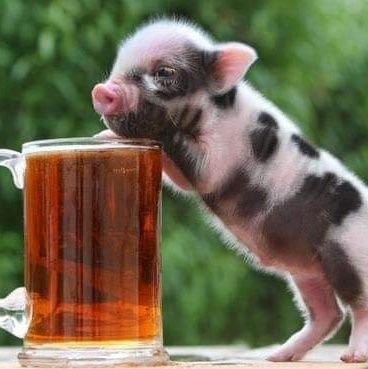 Tonymoo52491494's profile picture. 