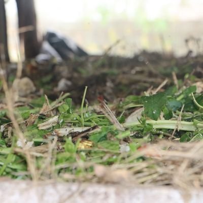 Kayokokay123's profile picture. agriculturalist kay