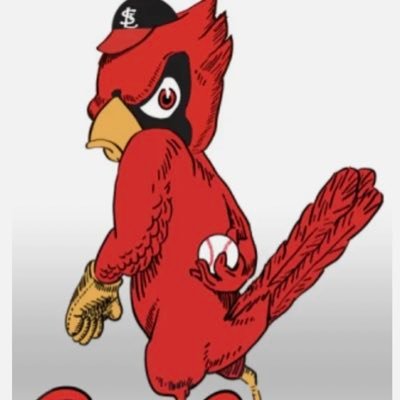 StlCardsdayxday Profile Picture