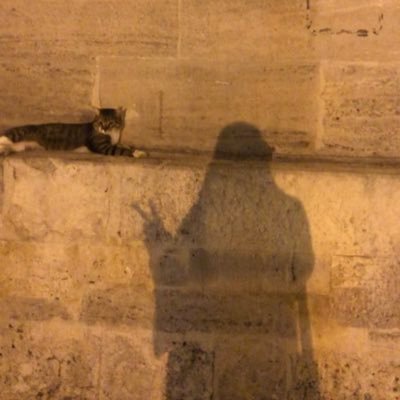 Hachimitsukix's profile picture. Rabia