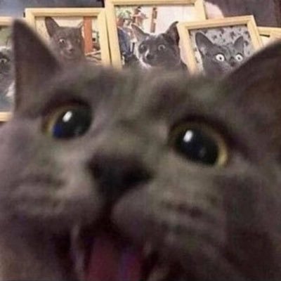 lmaooiyggtwed's profile picture. As above so below wolap os avope sA