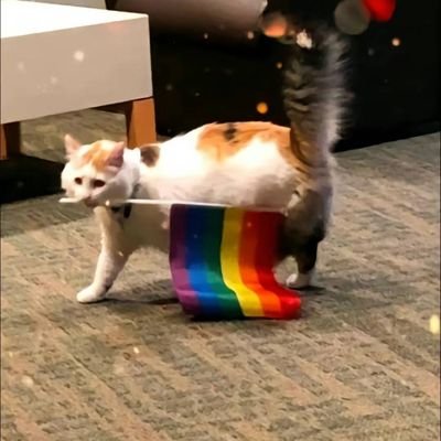 iiinv1818's profile picture. 강안지