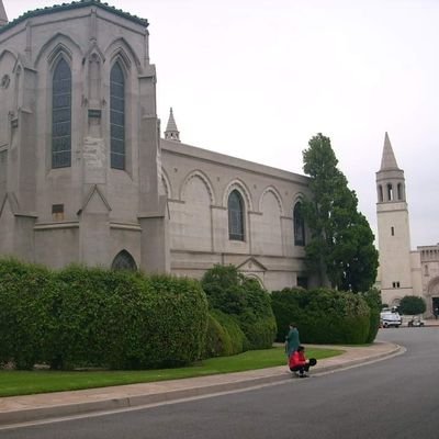 ronpia4's profile picture. 