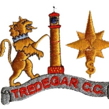 Tredegar’s first women’s cricket club playing in @SEWCL