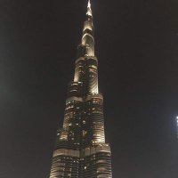 raed ryad (@ryad_raed) 's Twitter Profile