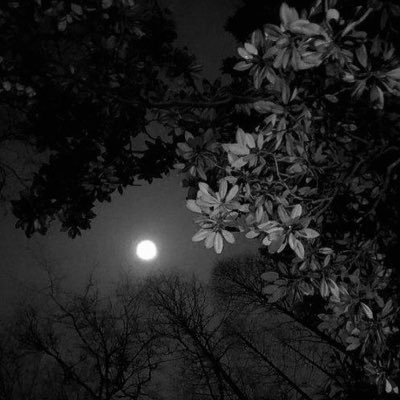 specailx2's profile picture. 