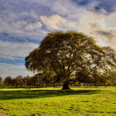 LVYJ4's profile picture. Fall Forward