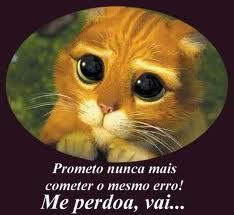 Rikinholopez1's profile picture. ' todas não me completam como você me completou vc me fez apaixonado, e apaixonado hoje estou.