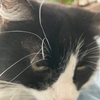 End of the Line (@lott_chris) 's Twitter Profile