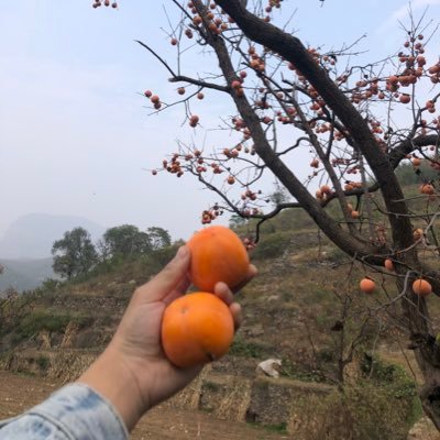 xyyydw's profile picture. 问题，答案。