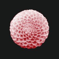 Pompom (@pompom_blume) 's Twitter Profile Photo Pompom (@pompom_blume) 's Twitter Profile Photo