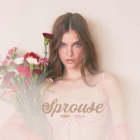 Palvin Access | fan account (@palvinaccess) 's Twitter Profile