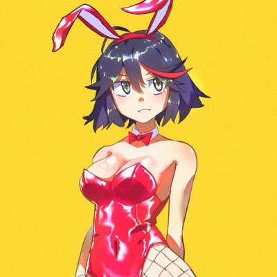 RyukoIsBest's profile picture. i collect anime and inflatables. Legos are fun too.