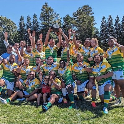 provobroncosrl Profile Picture