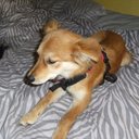 oliver shaw - @ShawOliver11223 - Twitter