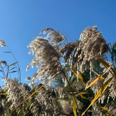 0627zzzz's profile picture. 谢谢 学着叠一艘纸船 Thank God its not that simple 一个人时要多珍重