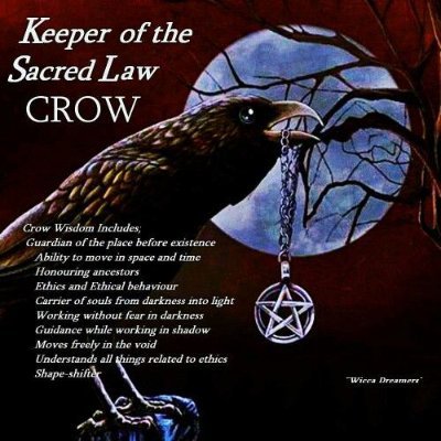 I am Old Crow with two feathers who has learned to fly💖
We wait...with hidden knowledge until Great Spirit calls upon us to heal mankind.
This,is our purpose.