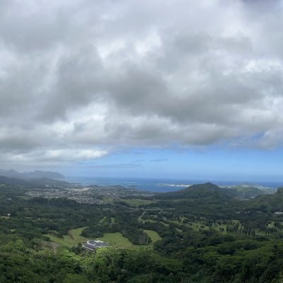 FullTerrors's profile picture. 