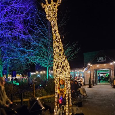 kirstymellor's profile picture. 