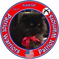 Sahar(@ThecatLestat60) 's Twitter Profile Photo