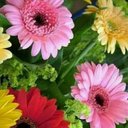 Norma Barraza - @norma_barr69728 - Twitter