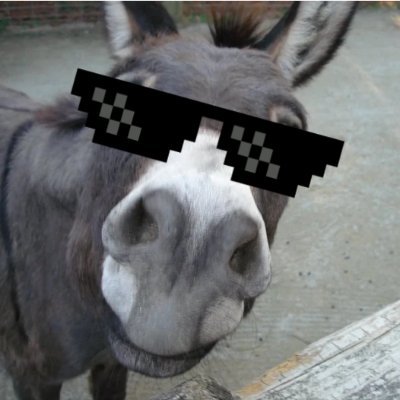 Wiehernder_Esel's profile picture. "Man muss immer lieben! Aber die Liebe erfordert Härte.
Wenn man dem Wohl des Menschen dienen möchte, muss man ihm gelegentlich weh tun."

(Pfarrer Hans Milch)