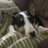 traceypeters14's profile image