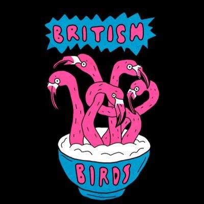 PSYCH-GARAGE-DIY GROUP FROM CHORLEY🦩 insta: british_birds_band 🐛