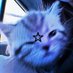 Efe Türkmen (@efetrkmen597253) Twitter profile photo Efe Türkmen (@efetrkmen597253) Twitter profile photo