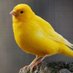 Sadece Jumbo Karidesler (@baystalkerr) Twitter profile photo Sadece Jumbo Karidesler (@baystalkerr) Twitter profile photo